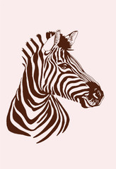 Fototapeta premium Vintage portrait of zebra,graphical vector illustration