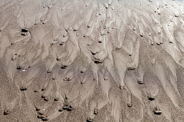 宮崎の観光地青島の海岸は自然のキャンバス