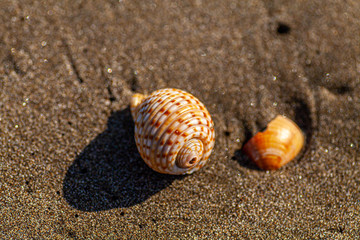 宮崎の観光地青島の海岸は自然のキャンバス3
