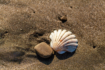 宮崎の観光地青島の海岸は自然のキャンバス4