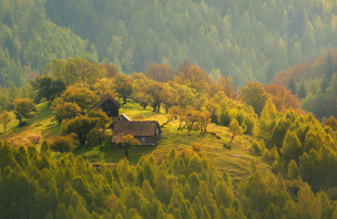 Autumn landscape at sunrise in Transylvania, Romania - traditional house on a hill in the forest - Morning Mist