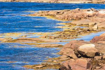 The fishing village of Joe Batt's Arm, Fogo Island, Newfoundland and Labrador, Canada