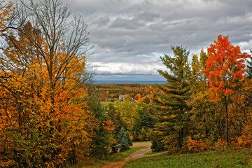 Fototapeta premium Autumn Trail