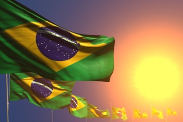 Fototapeta na wymiar nice many Brazil flags on sunset placed diagonal with soft focus and place for content - any celebration flag 3d illustration..