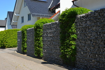 Moderner Sichtschutzzaun aus mit Naturstein gefüllten Gabionen und mit eingegrüntem verzinktem Stahlgitter vor einem neu gebauten Einfamilienhaus © Hermann