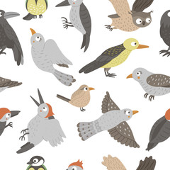 Vector seamless pattern of hand drawn flat funny woodland birds. Cute repeat background with Owl, Cuckoo, Raven, Woodpecker, Wren, Oriole. Cute ornithological ornament for children’s design. .