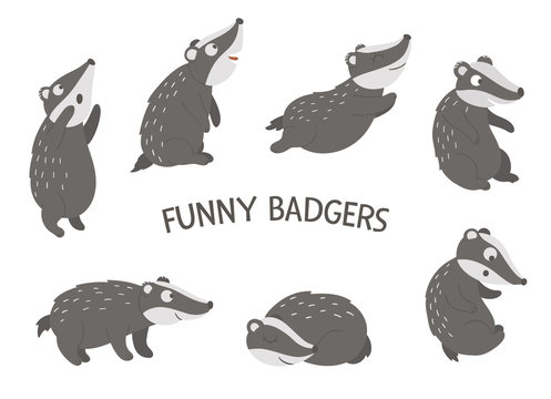 Vector set of cartoon style hand drawn flat funny badgers in different poses. Cute illustration of woodland animals for children’s design. .