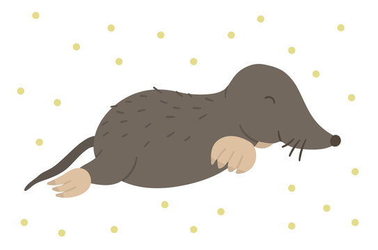 Vector hand drawn flat mole. Funny woodland animal. Cute forest animalistic illustration for children’s design, print, stationery.