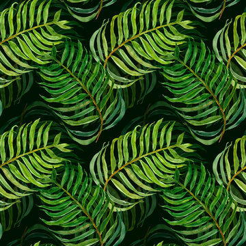 Watercolor seamless pattern with palm leaves. hand painted exotic tropical foliage on dark green background. Modern botanical print, summer forest illustration for wallpapers, textile, clothes.