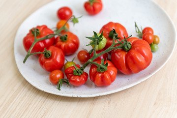 Freshly Harvested Various Tomatoes on Plate