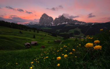 Picturesque landscape of green plain with house and mountains