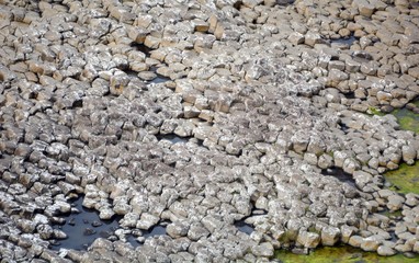 The Giant's Causeway, Northern-Ireland