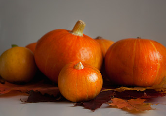 Halloween. Autumn pumpkins and leaves. Dark background