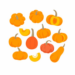 Colorful various flat art pumpkins art set