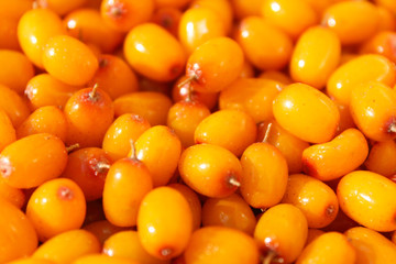 Fresh ripe sea buckthorn berries. Close-up. Background. Texture.