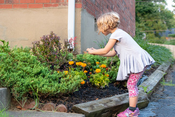 Young girl taking photograph of flower blooms