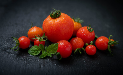 Freshly Picked Various Tomatoes on Dark Background with Room for Text