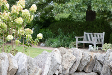 Bench viewing white flowers and stone wall