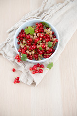 Freshly Picked Red and White Currants in Blue Bowl 