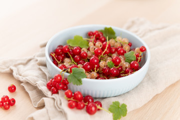 Freshly Picked Red and White Currants in Blue Bowl 