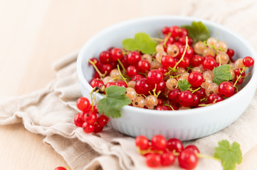 Freshly Picked Red and White Currants in Blue Bowl 