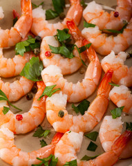 Closeup of prawns Shrimps on a plate with lemon, garlic and herbs.