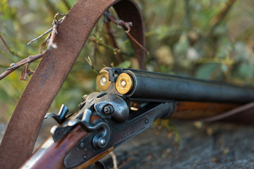 Hunting rifle on grass. The beginning of the hunting season is open. For pheasant and birds.