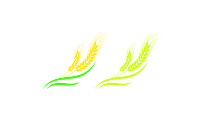 Agriculture wheat Logo Template vector icon design, Ears of Wheat, Barley or Rye vector visual graphic icons, Agriculture icon. Vector concept illustration for design. wheat multi-color icon. Elements