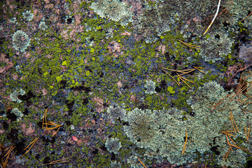 Old stone covered with moss