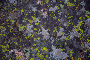 Old stone covered with moss