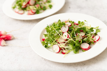 Organic Radishes and Sprouts Salad on Plate
