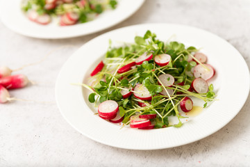 Organic Radishes and Sprouts Salad on Plate