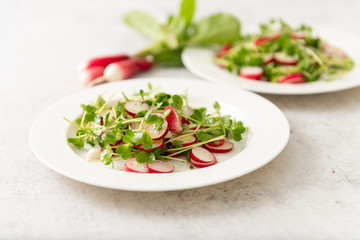 Organic Radishes and Sprouts Salad on Plate