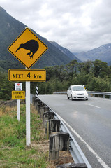 watch out for kiwis