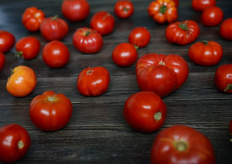 Tomatoes on the old table. Tomatoes pattern. Top view of fresh vegetable on a dark wooden background. Red Food background. Horizontal composition isolated on a old rustic wooden surface