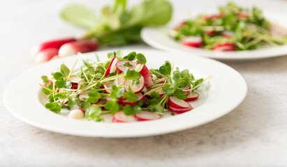 Organic Radishes and Sprouts Salad on Plate
