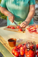 Obraz na płótnie Canvas Female hands in the garden cutting tomatoes