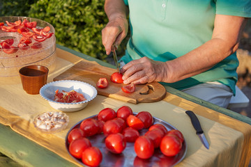 Female hands in the garden cutting tomatoes