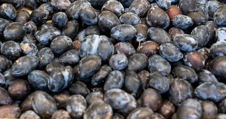 Blue plums from a display case for sale