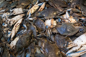 Blue Crab at Market