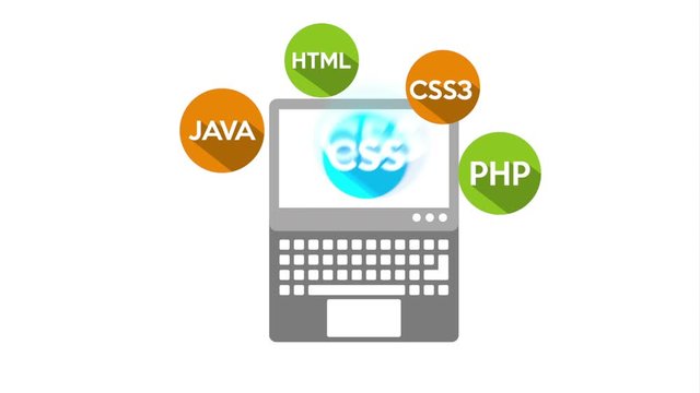 programming language with laptop animation