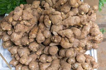 Ginger Roots