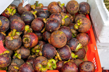 Mangosteen Bunch