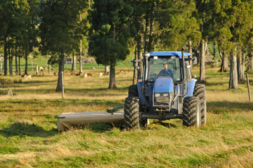 mowing pasture