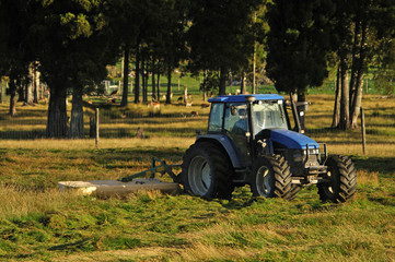 mowing pasture