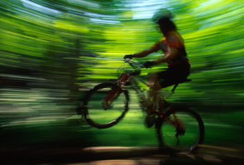 Fototapeta na wymiar Young man mountain biking in a forest, Stowe, VT, USA