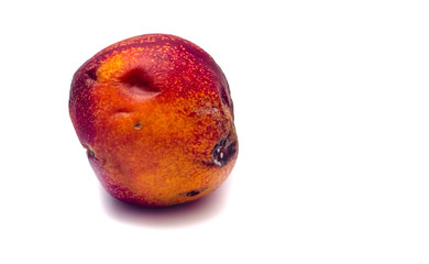 Single rotten nectarine isolated on white.