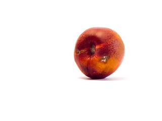 Single rotten nectarine isolated on white.