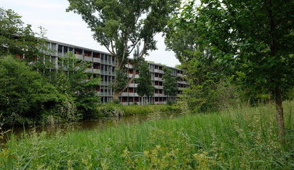 Urban jungle with trees and architecture. Harmony of city and nature. apartment flats with trees and grass in amsterdam, the netherlands