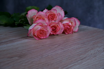 dolce vita rose on wood with gray background